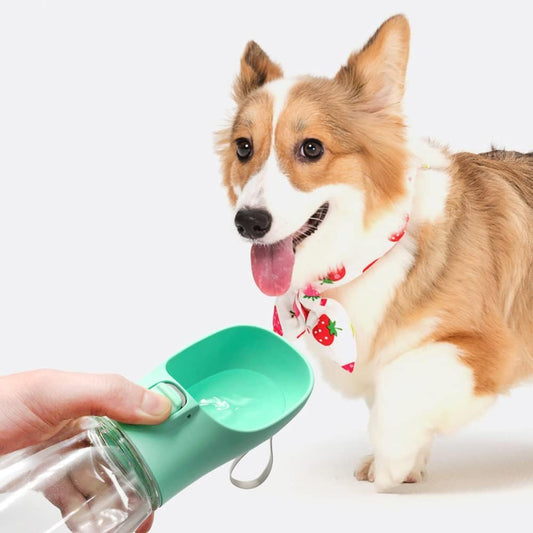 Gourde portable pour chien